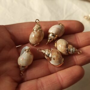 Ciondolo conchiglia naturale #5 con bordo dorato