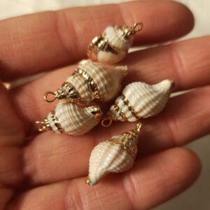 Ciondolo conchiglia naturale #2 con bordo dorato