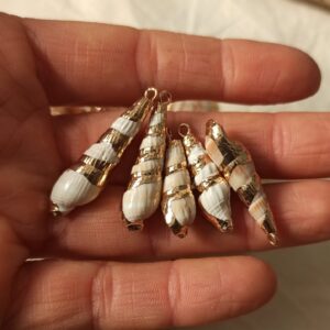 Conchiglia lunga con bordo dorato