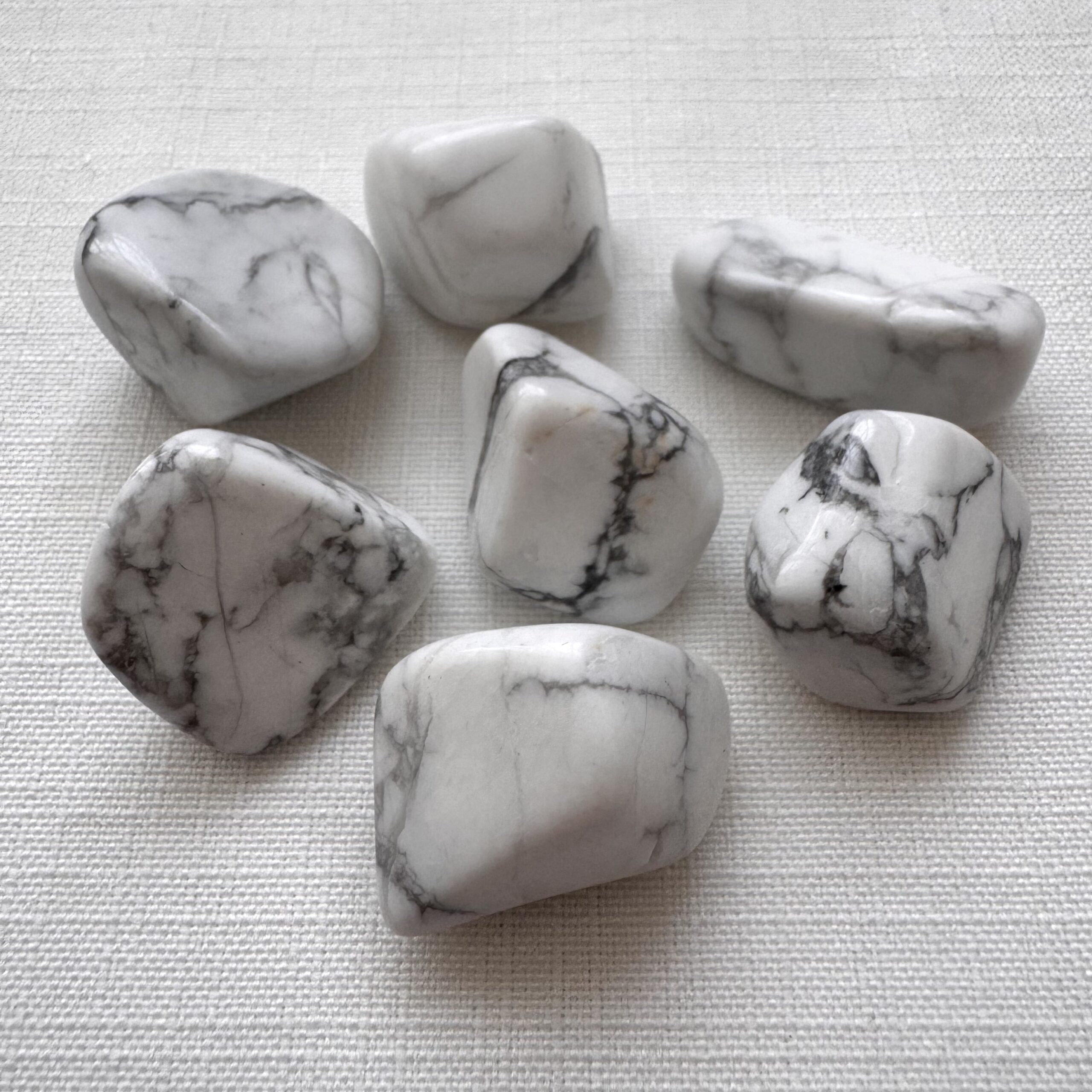 Aulite Bianca Burattata - immagine 3