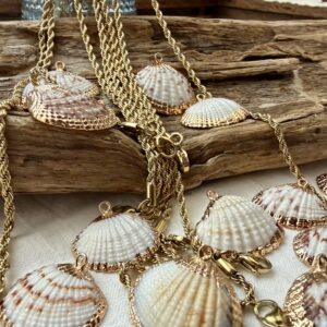 Alternative view of Ciondolo conchiglia naturale #6 con bordo dorato